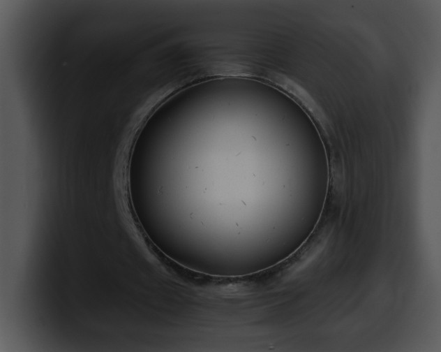 X0000100400433200806061319