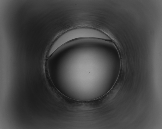 X0000100400434200806061319