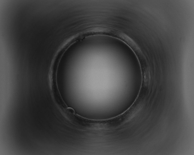 X0000100400436200806061319