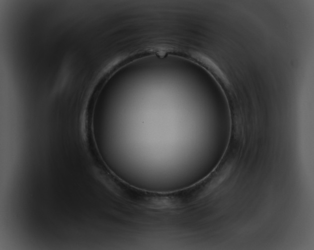 X0000100400439200806061320