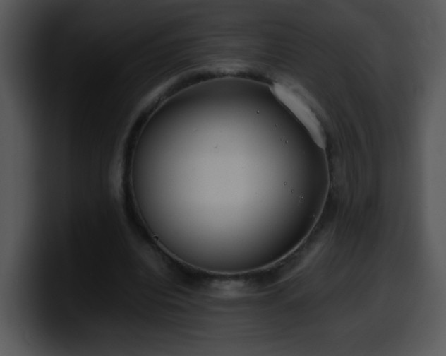 X0000100400440200806061320