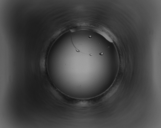 X0000100400441200806061320