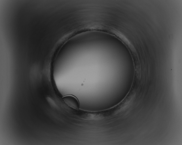 X0000100400442200806061320