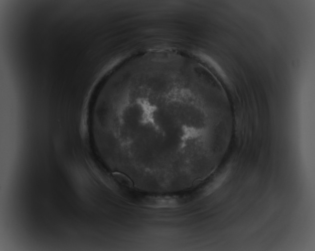 X0000100400443200806061320