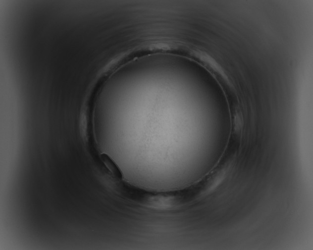 X0000100400444200806061320