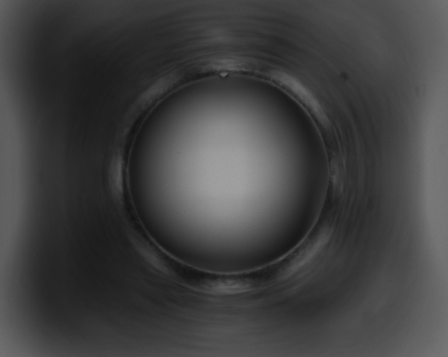 X0000100400445200806061320