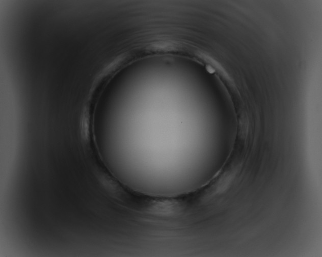 X0000100400446200806061320
