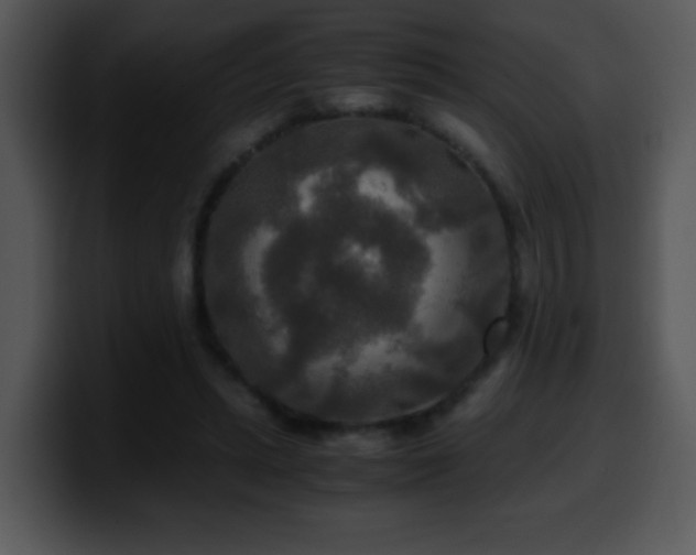 X0000100400447200806061320