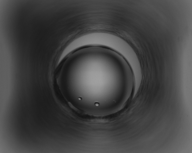 X0000100400448200806061320