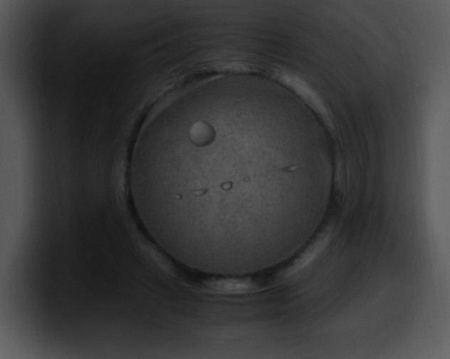 X0000100400449200806061320