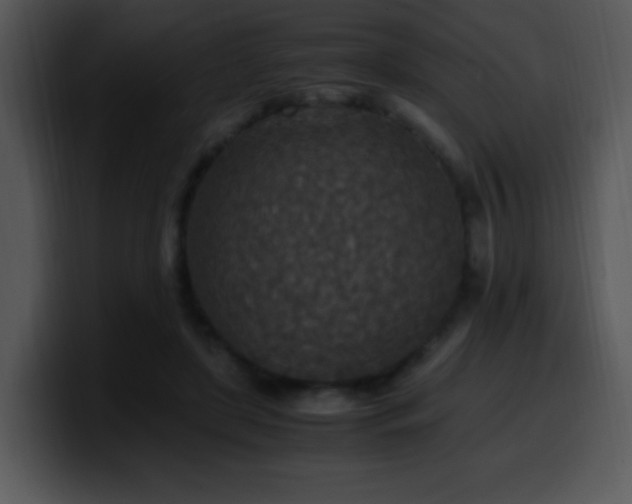 X0000100400451200806061320