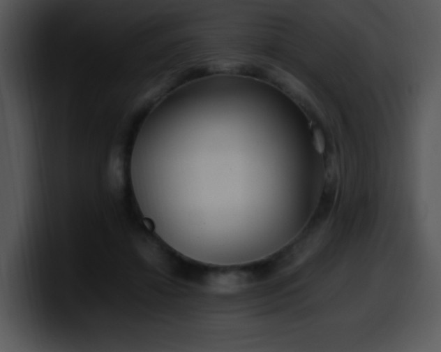 X0000100400452200806061320