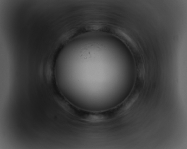 X0000100400455200806061320