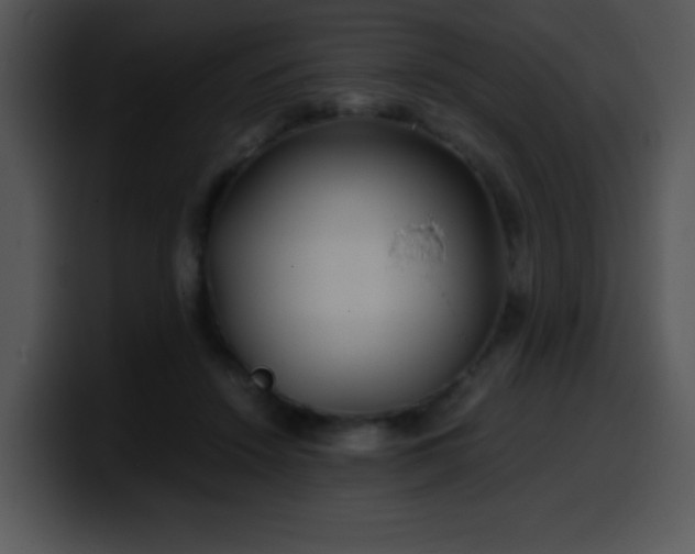 X0000100400456200806061320
