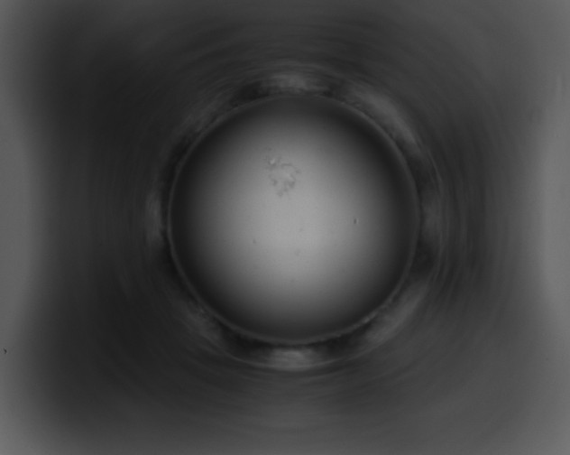 X0000100400457200806061320