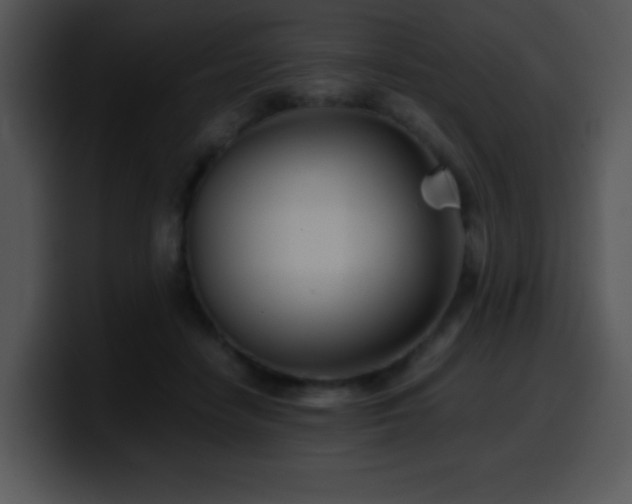 X0000100400458200806061320