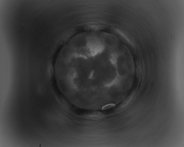 X0000100400459200806061320