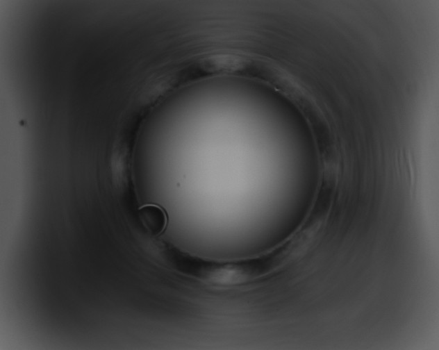 X0000100400460200806061320
