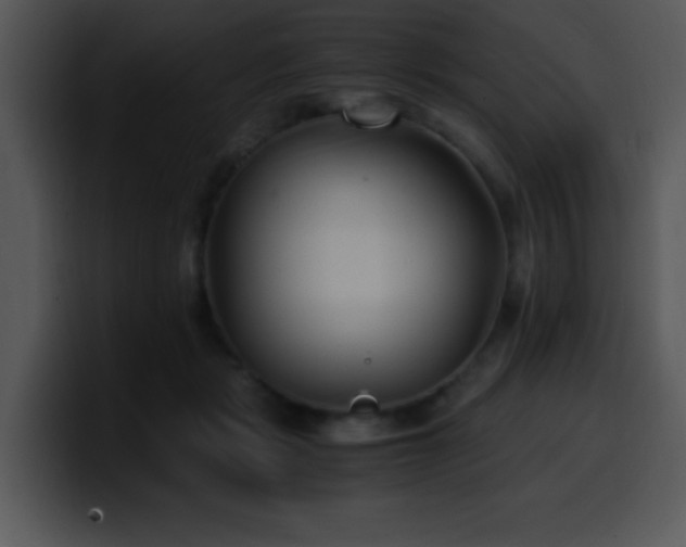 X0000100400461200806061320