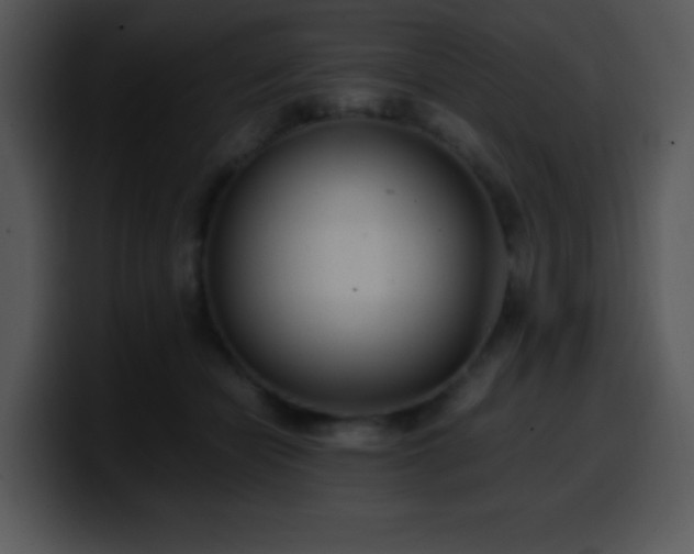 X0000100400462200806061320