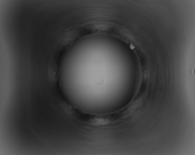 X0000100400464200806061320