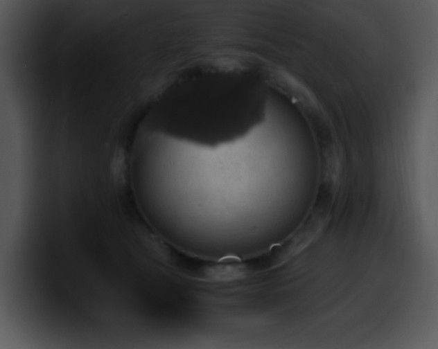 X0000100400465200806061320