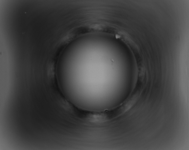X0000100400466200806061320