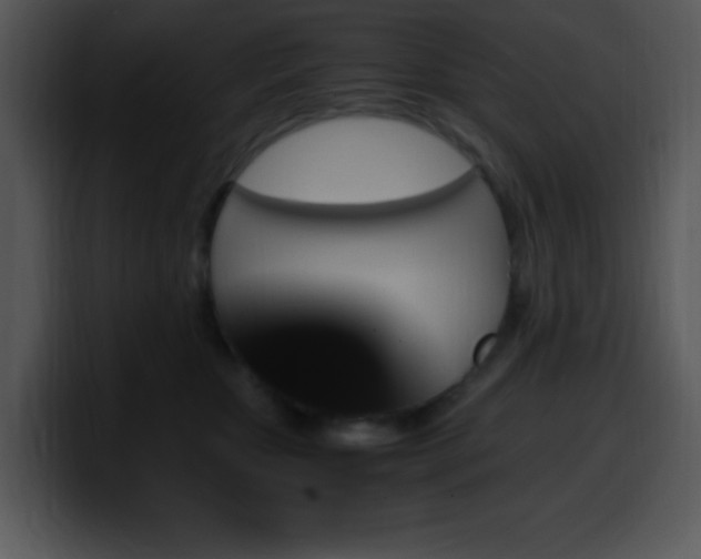 X0000100400467200806061320