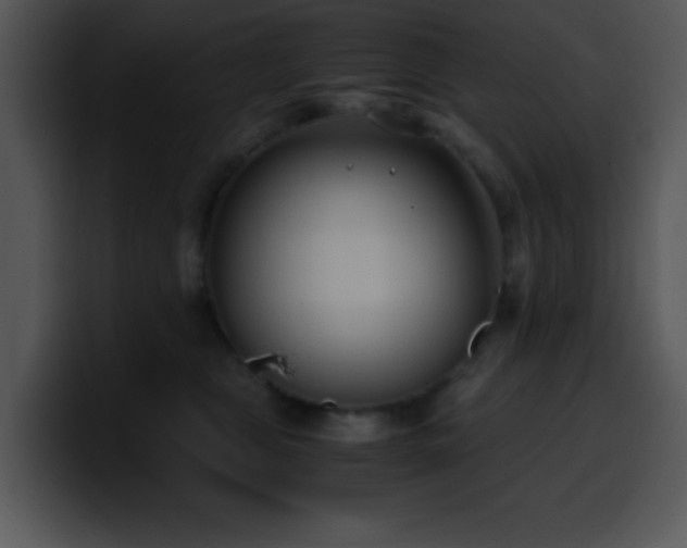 X0000100400469200806061320