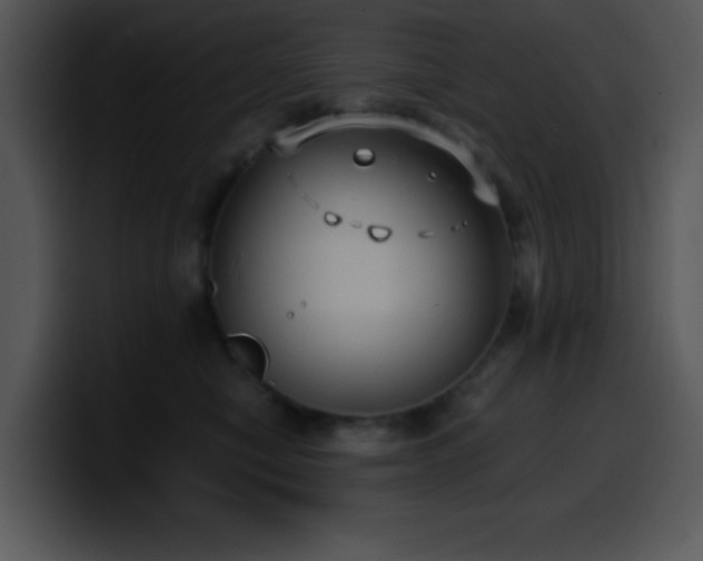 X0000100400470200806061320