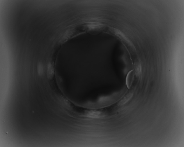 X0000100400471200806061320