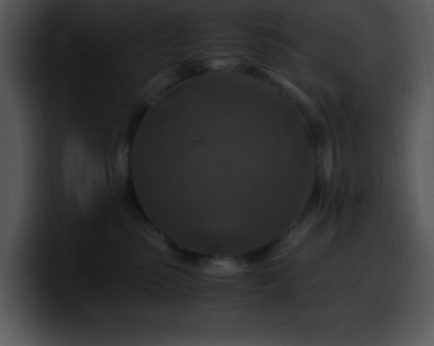X0000100400475200806061320