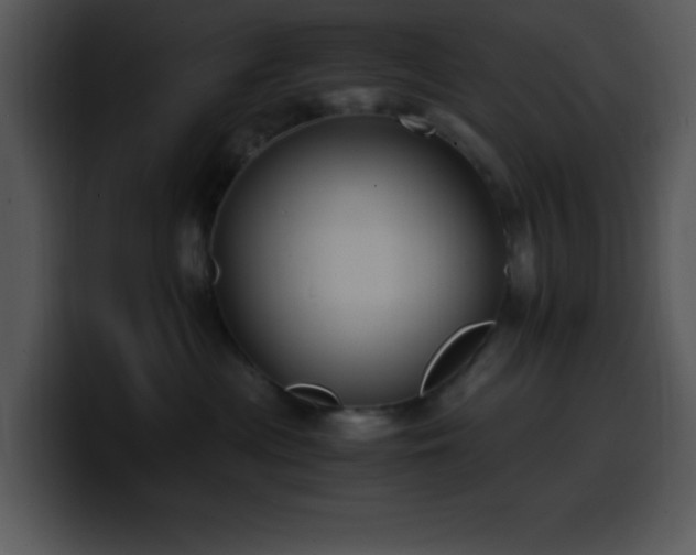 X0000100400477200806061320
