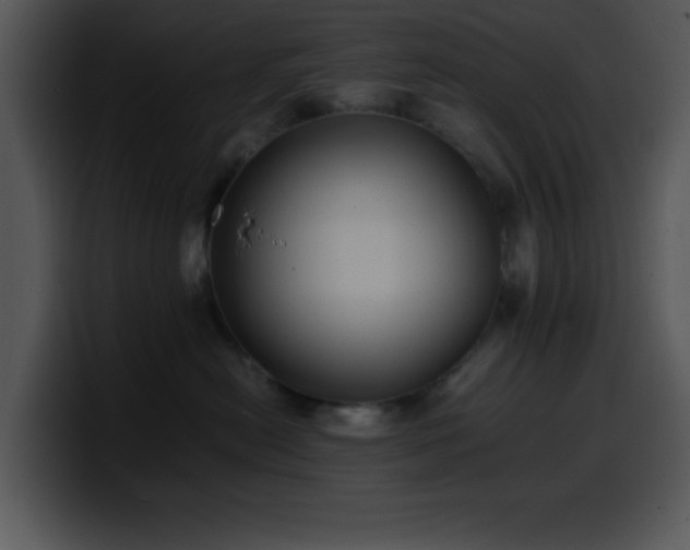 X0000100400478200806061320