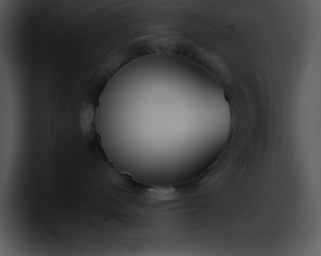 X0000100400480200806061320