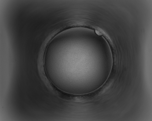 X0000100400481200806061319