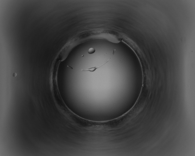 X0000100400482200806061319
