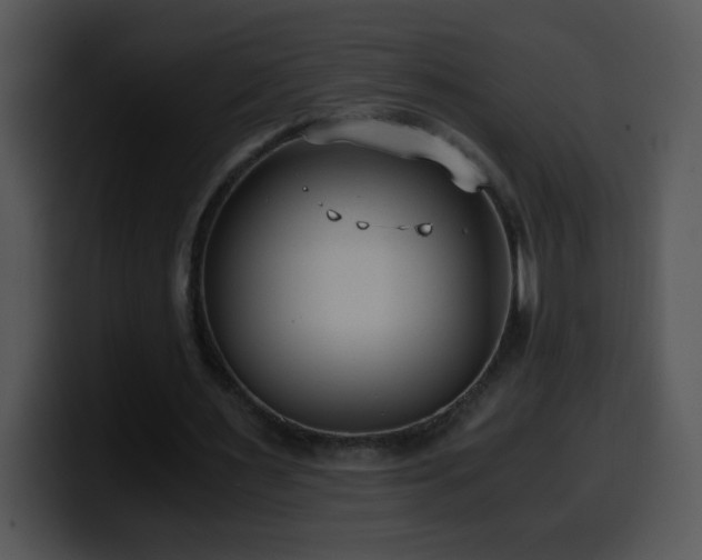 X0000100400483200806061319