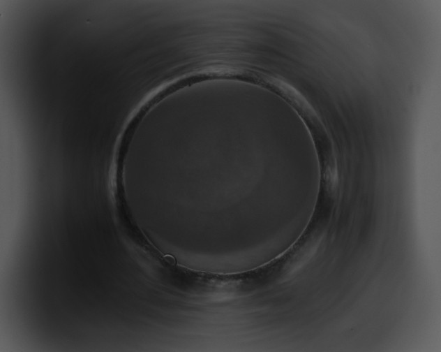 X0000100400484200806061319