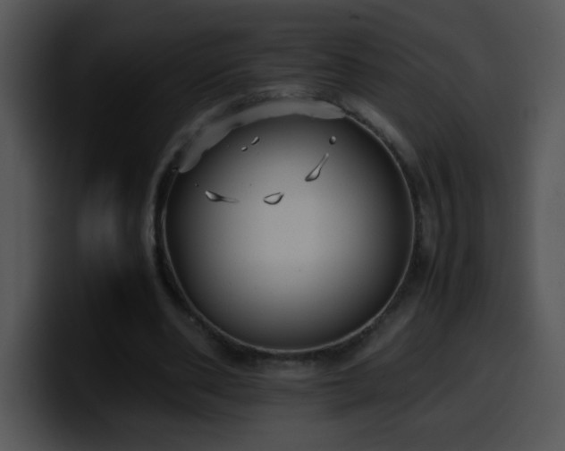 X0000100400486200806061319