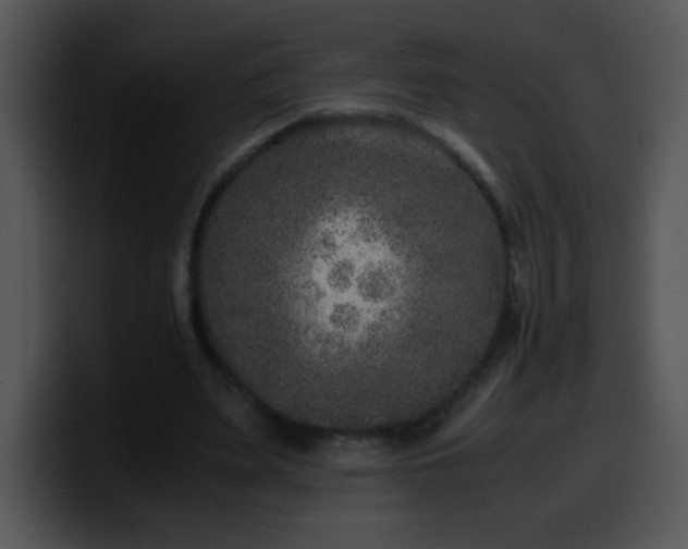 X0000100400487200806061319