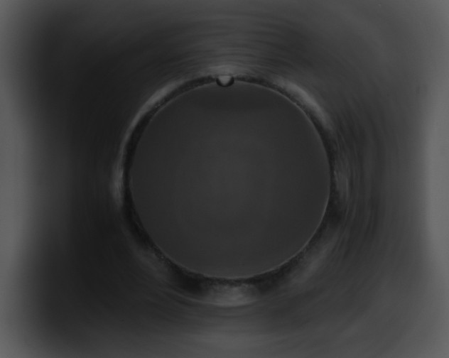 X0000100400488200806061319