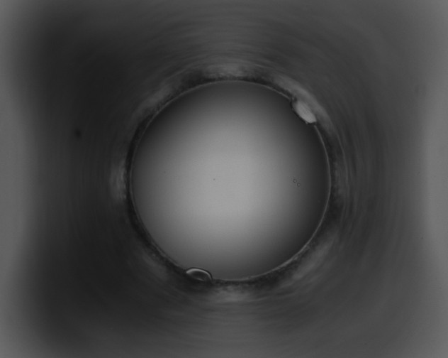 X0000100400489200806061319