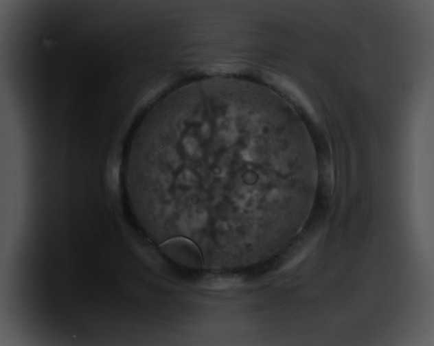 X0000100400491200806061319