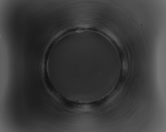 X0000100400492200806061319
