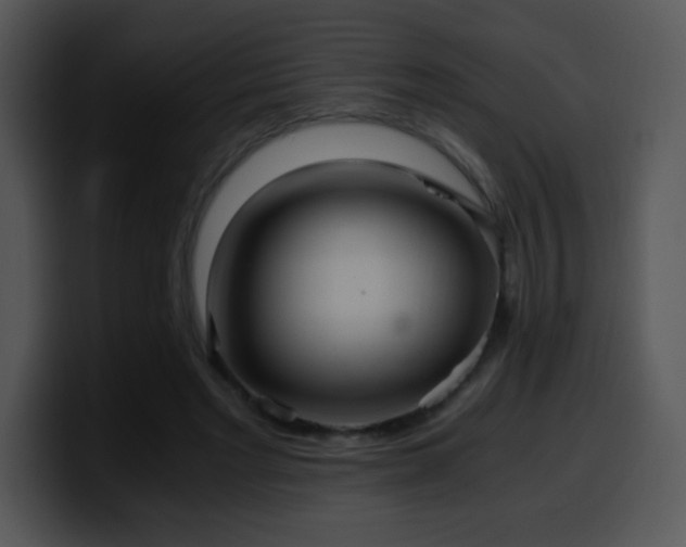 X0000100400493200806061319