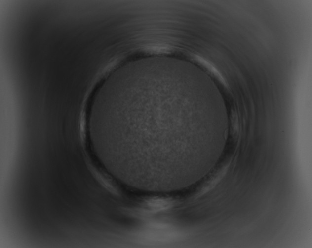 X0000100400494200806061319