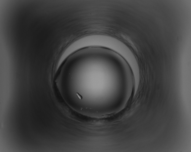 X0000100400495200806061319