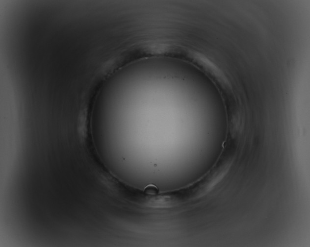 X0000100400497200806061319