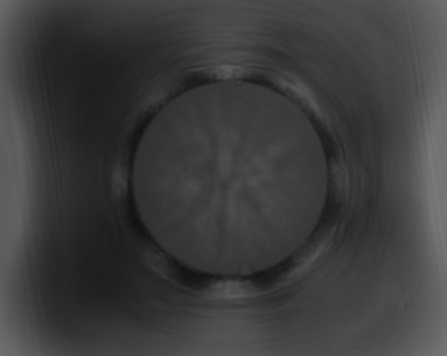 X0000100400499200806061319